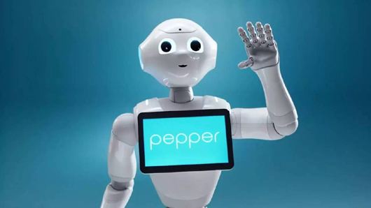 3.Pepper机器人